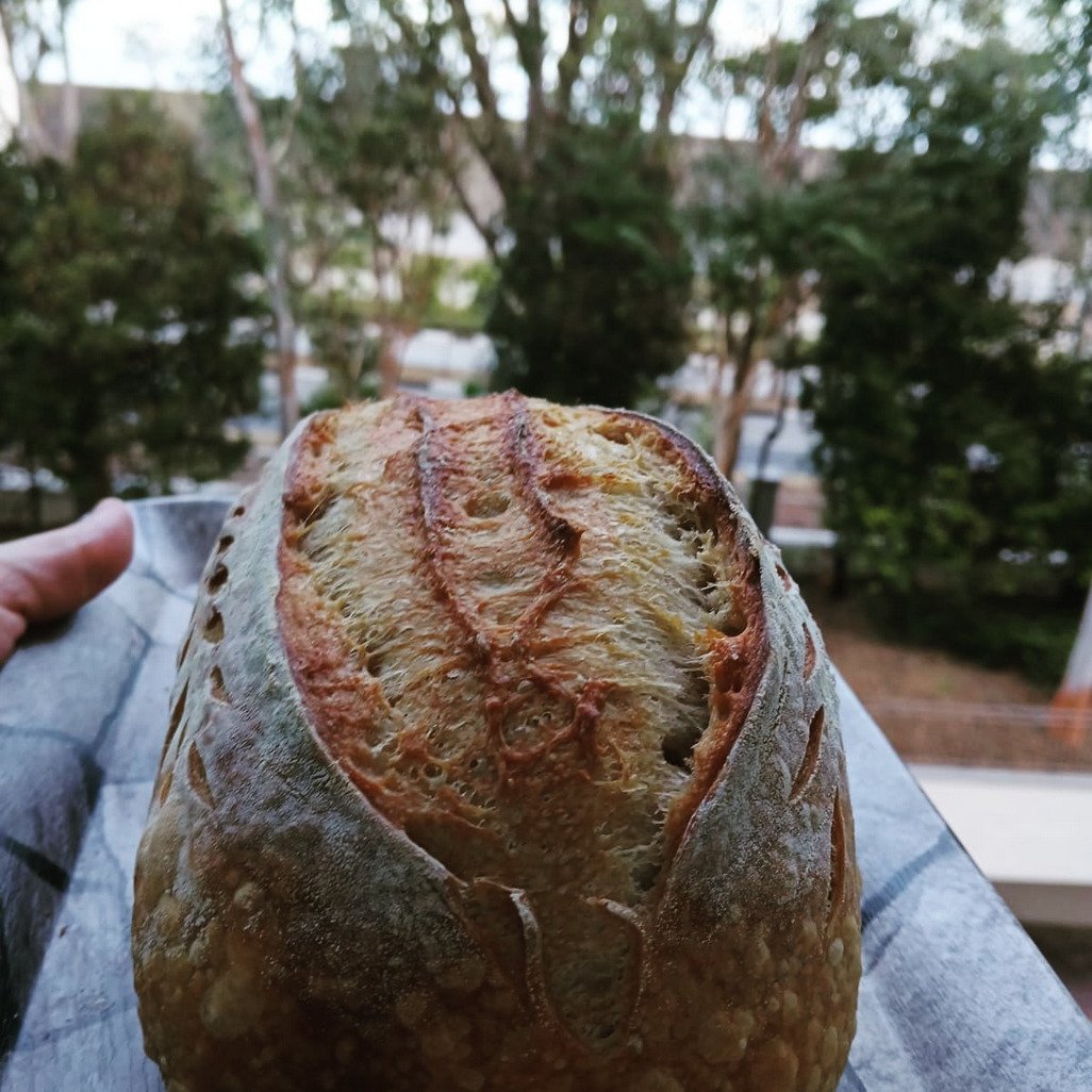 Fresh artisan sourdough bread Singapore